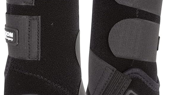 π΄ Guide to Horse Boots: Sport Boots vs Polo Wraps vs Splint Boots vs Bell Boots