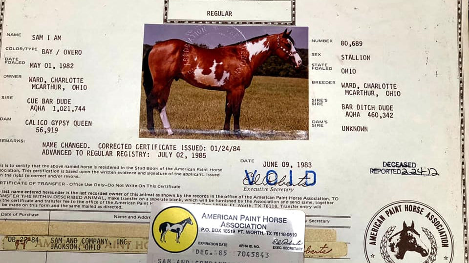 Do you know who Sam I Am Is?