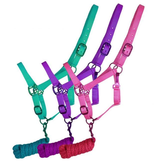 Shiloh Show Halters