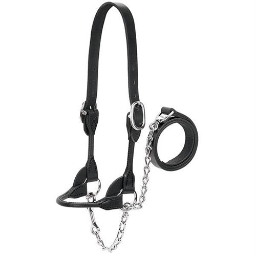Dairy/Beef Rounded Show Halter - Henderson's Western Store