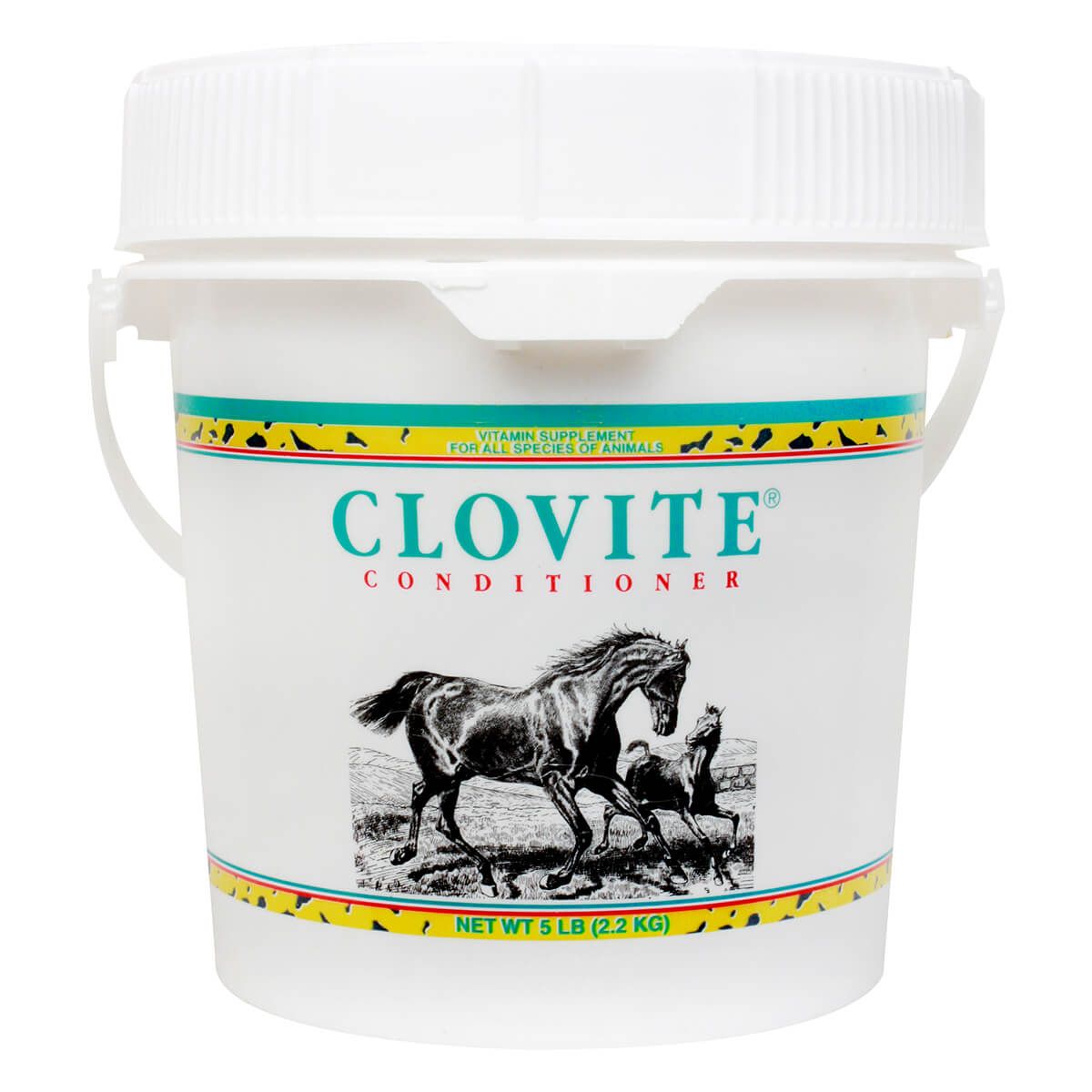 Clovite Conditioner for All Species - Henderson's Western Store