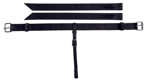 Shiloh Back Cinch