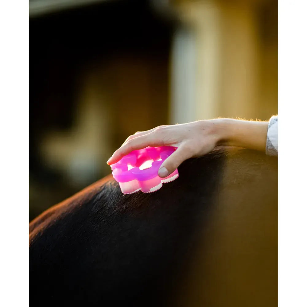Shed Flower - Henderson's Western Store