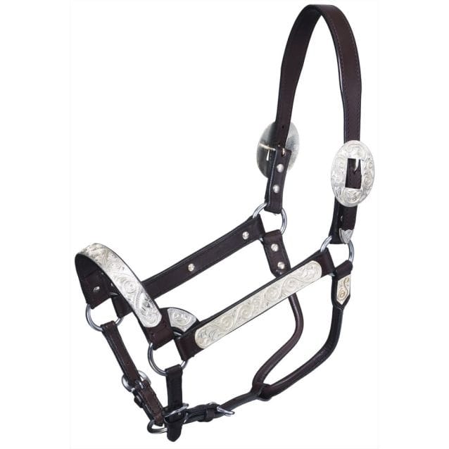 Royal King Show Halter ~ Silver Scroll - Henderson's Western Store