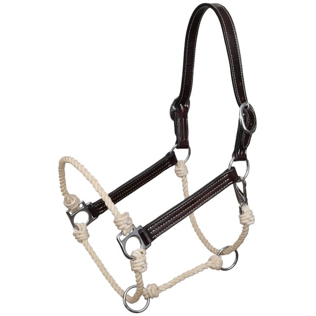 Shiloh Halters