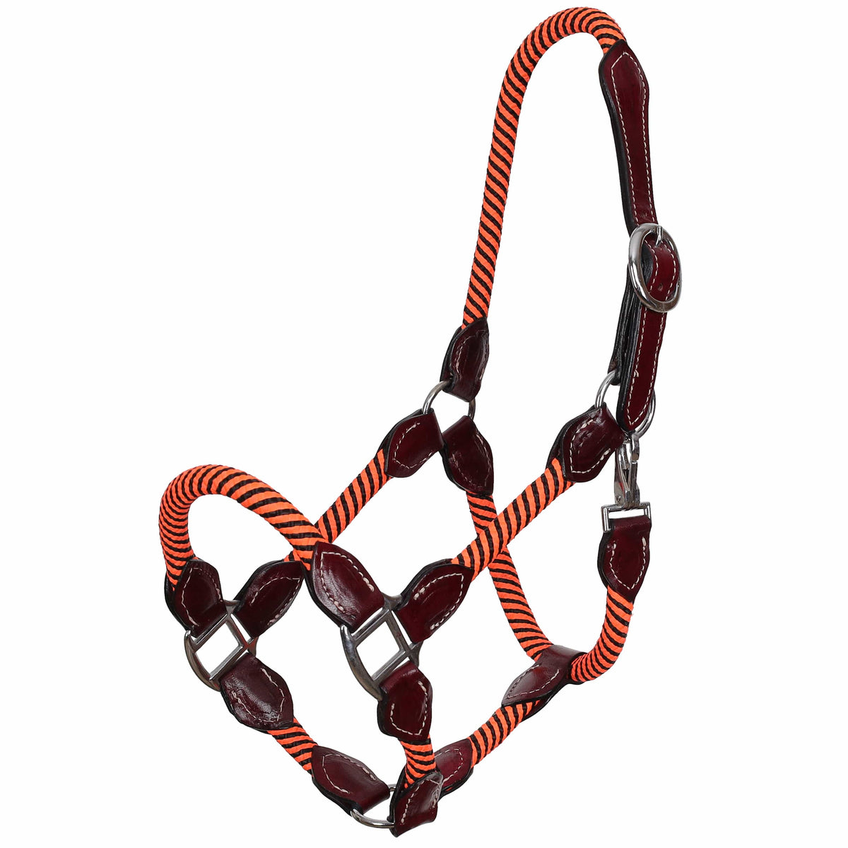 Shiloh Halters