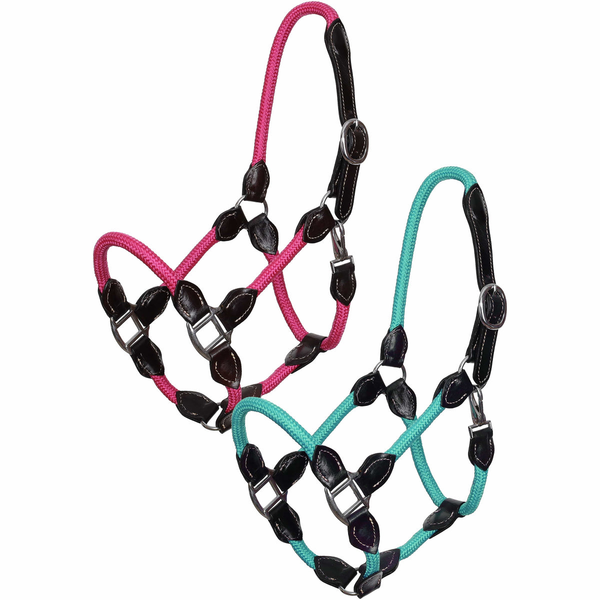 Shiloh Halters