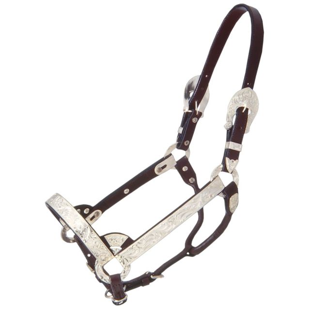 Royal King Silver Show Halter ~ Medium Mini - Henderson's Western Store