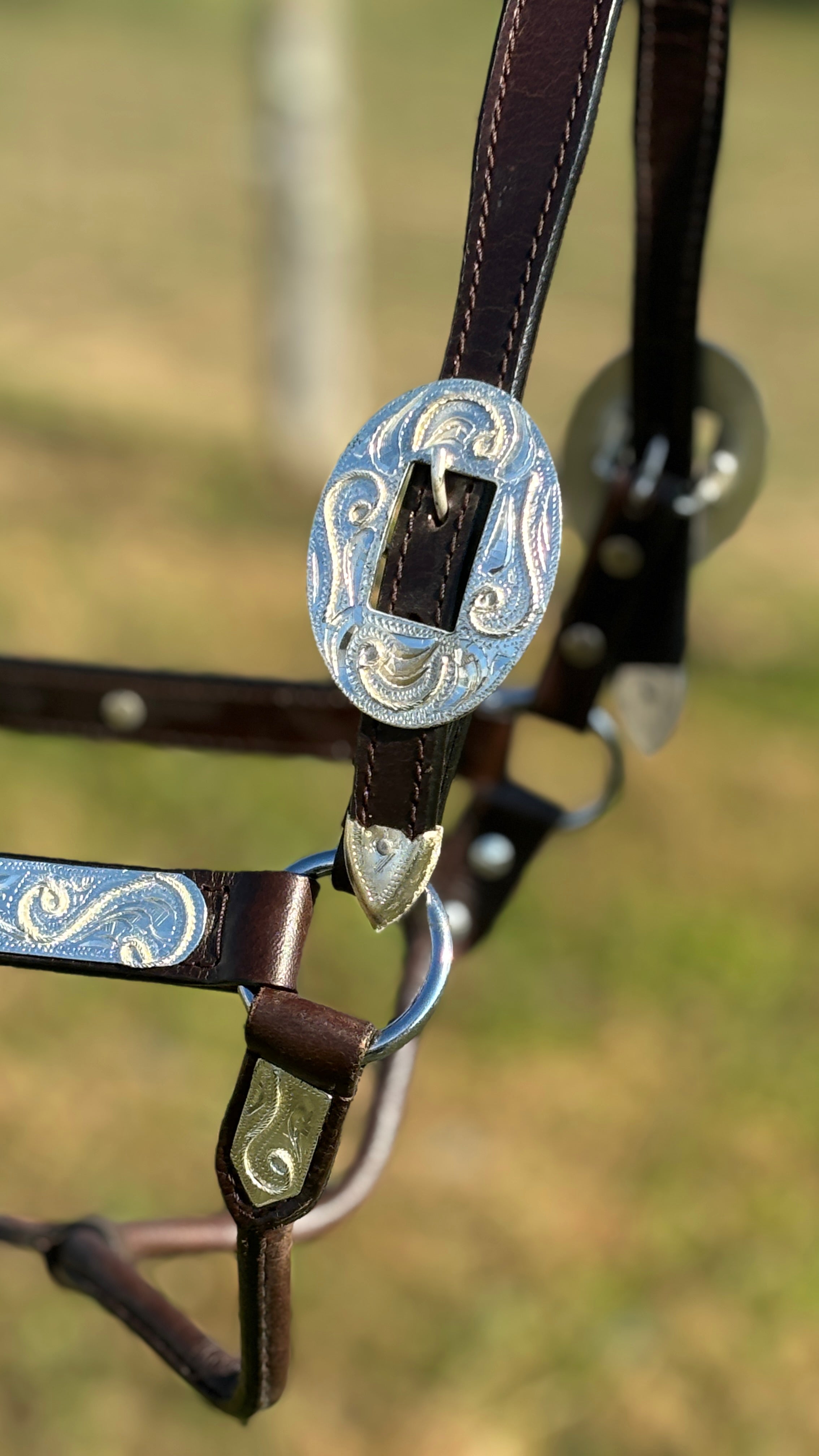 Royal King Show Halter ~ Silver Scroll - Henderson's Western Store