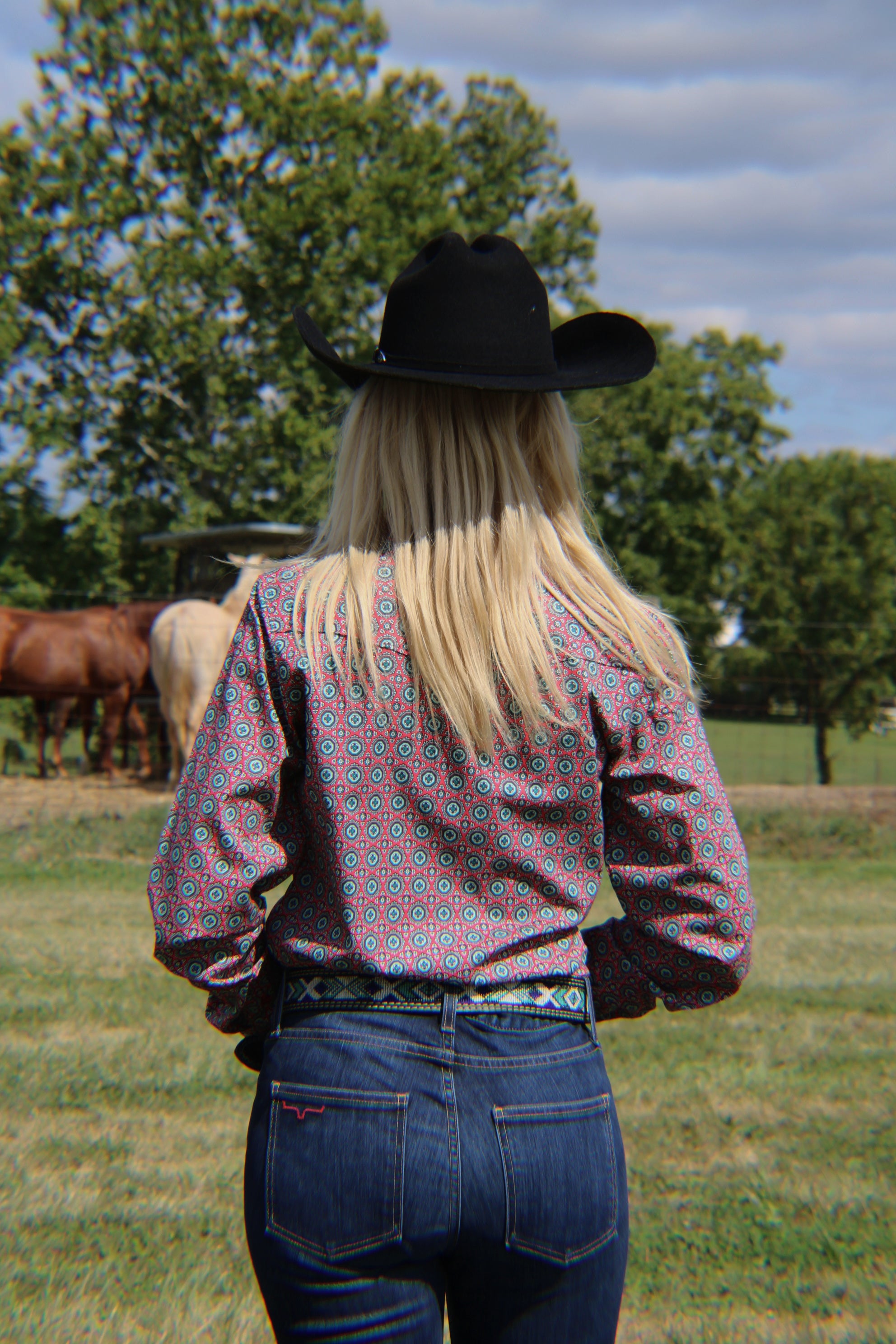 Ladies Cinch ~ Chrysanthemum - Henderson's Western Store