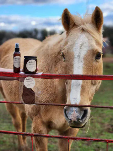 McIntire Saddlery Candles ~ Palomino - Henderson's Western Store