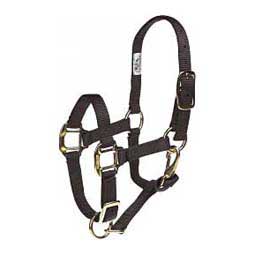 Nylon Halter ~ Suckling - Henderson's Western Store