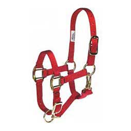 Nylon Halter ~ Suckling - Henderson's Western Store
