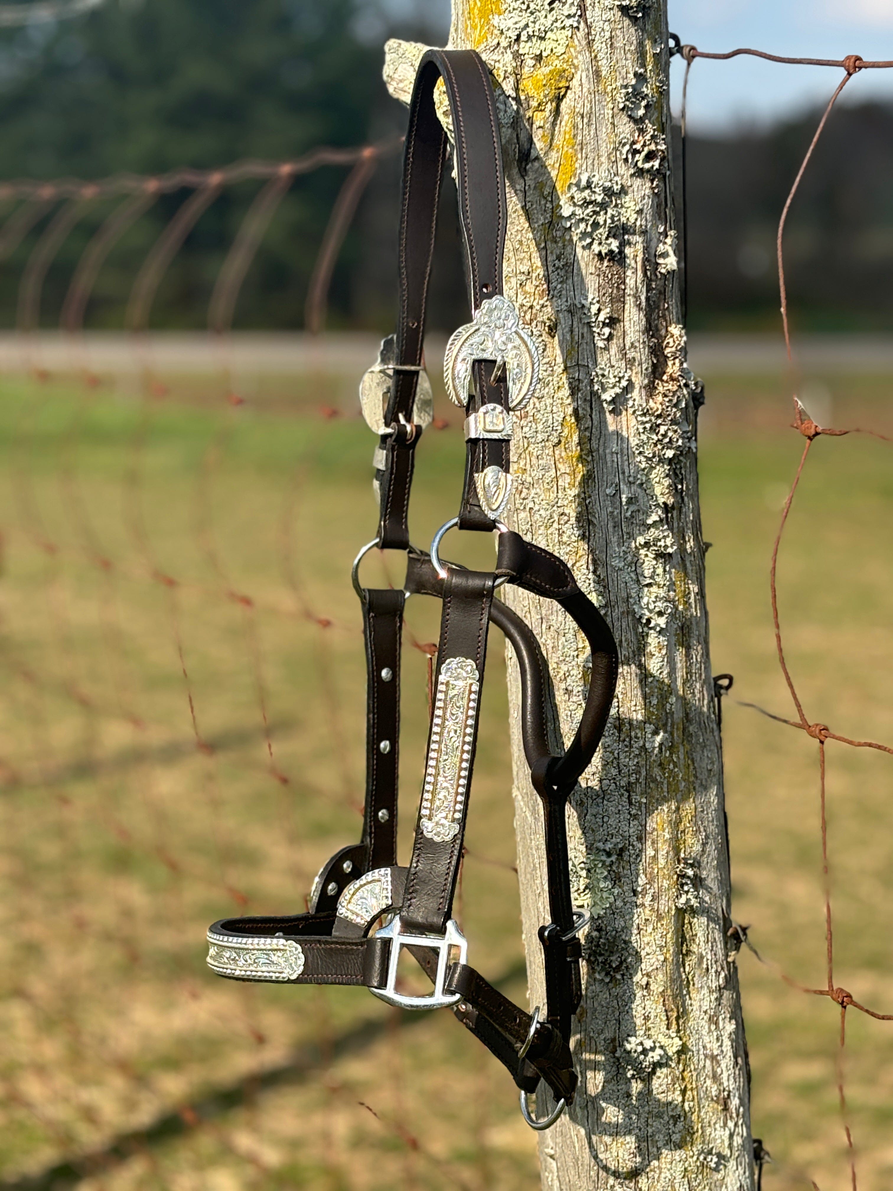 Shiloh Show Halters