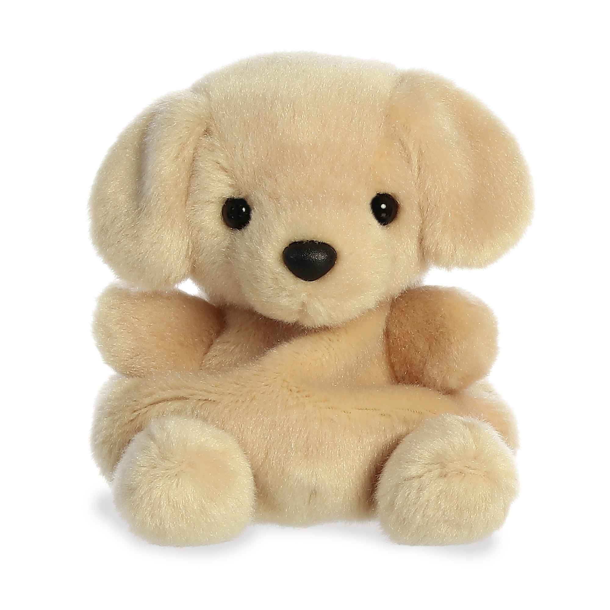 Palm Pals ~ Sunny Lab - Henderson's Western Store
