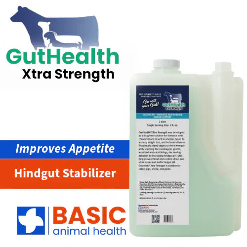 Basic Animal Health Barn Equipment