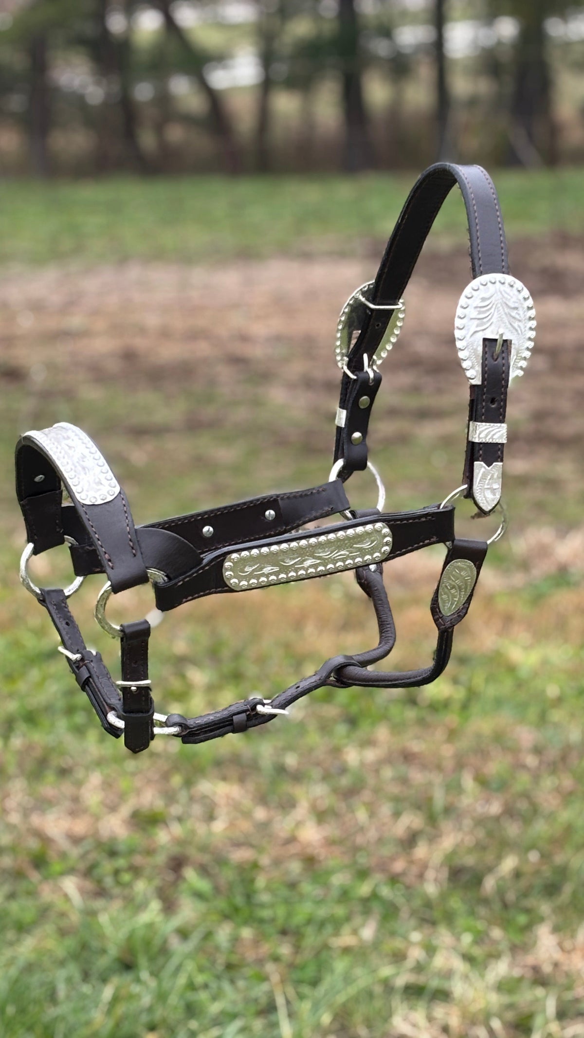 Shiloh Show Halters
