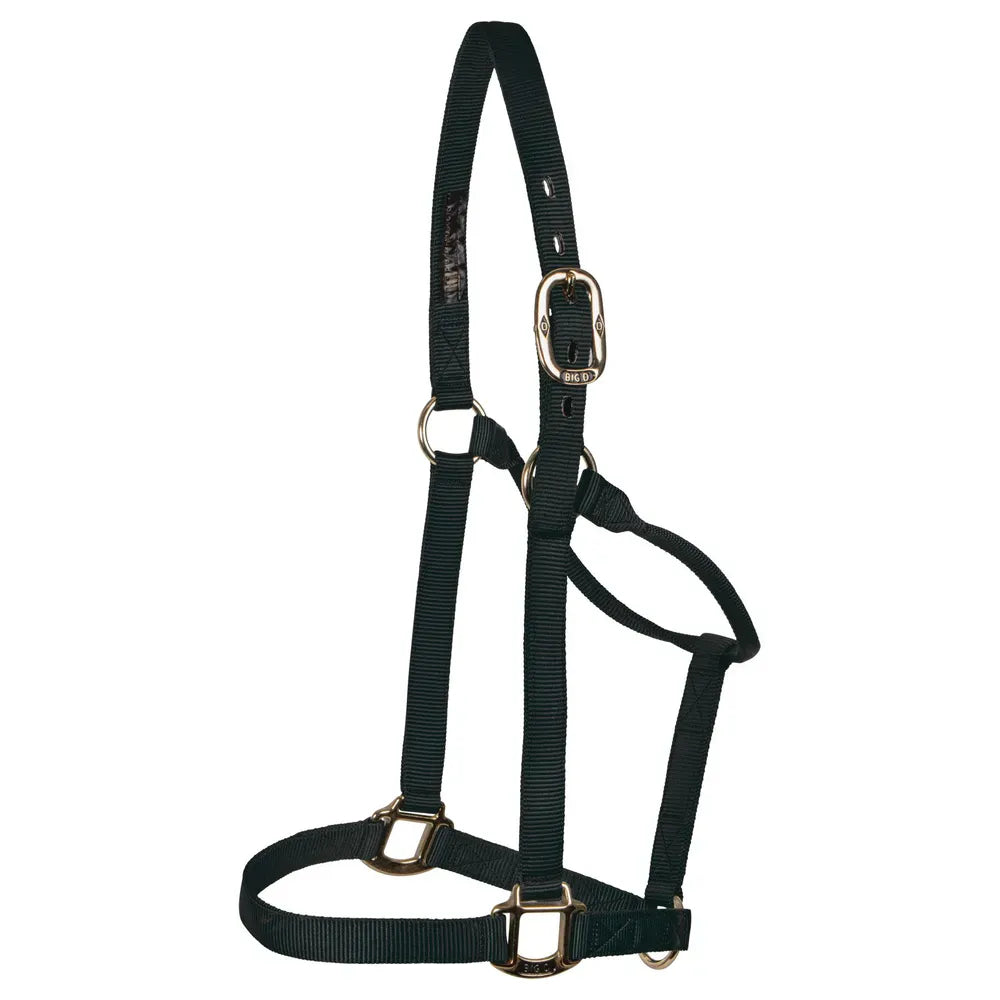 Big "D" Halter ~ Medium - Henderson's Western Store