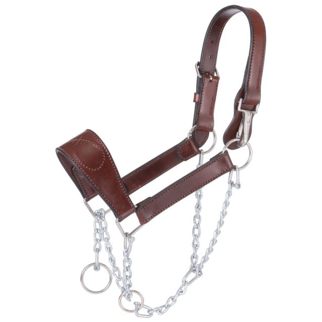 Leather Mule Halter with Draw Chain - Henderson's Western Store