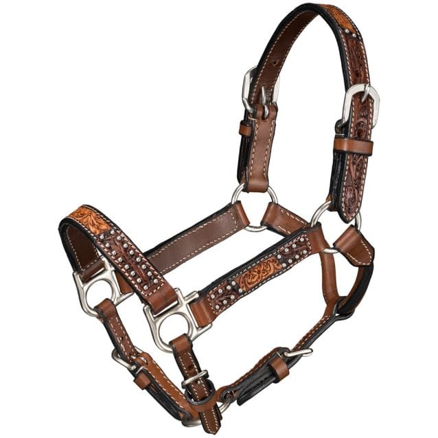 JT International Show Halters