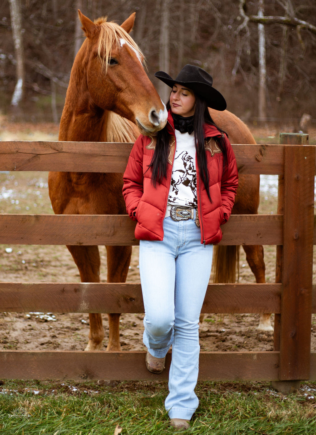 Cinch Women's Tops