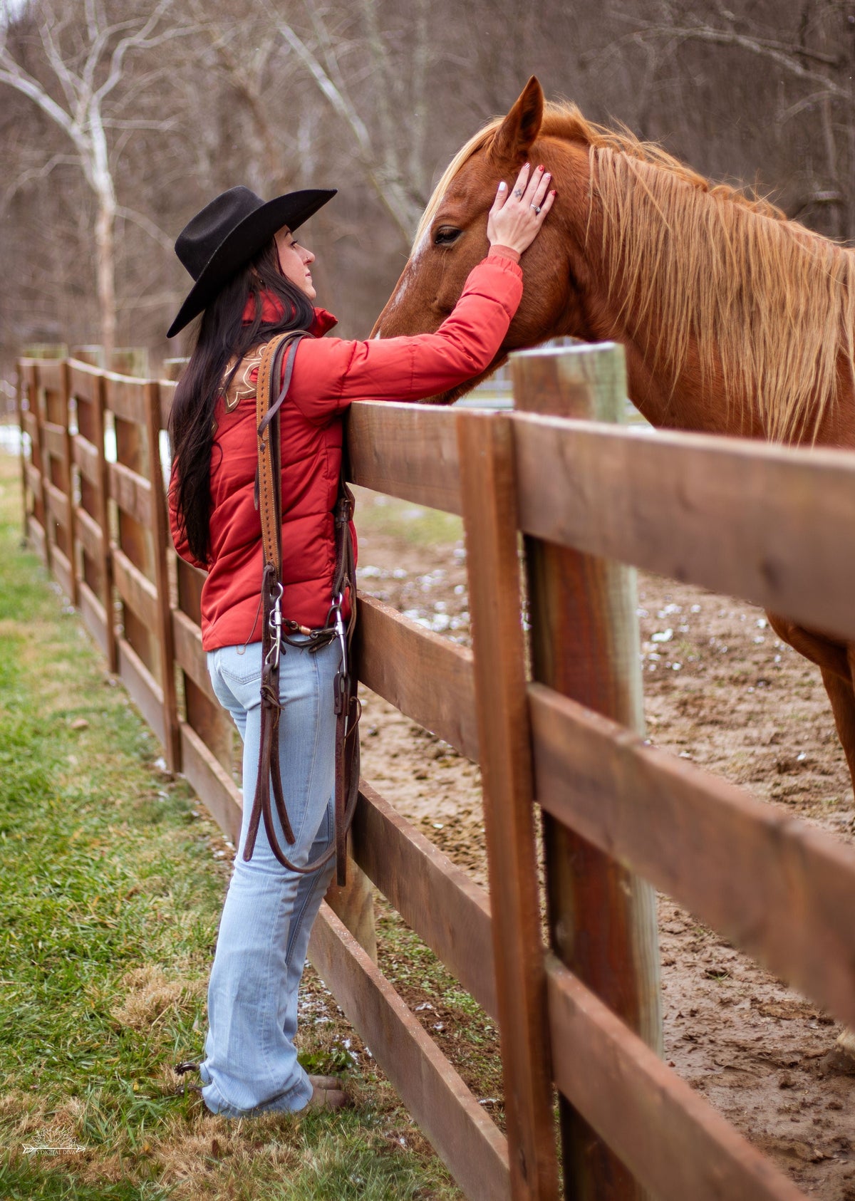 Cinch Women's Tops