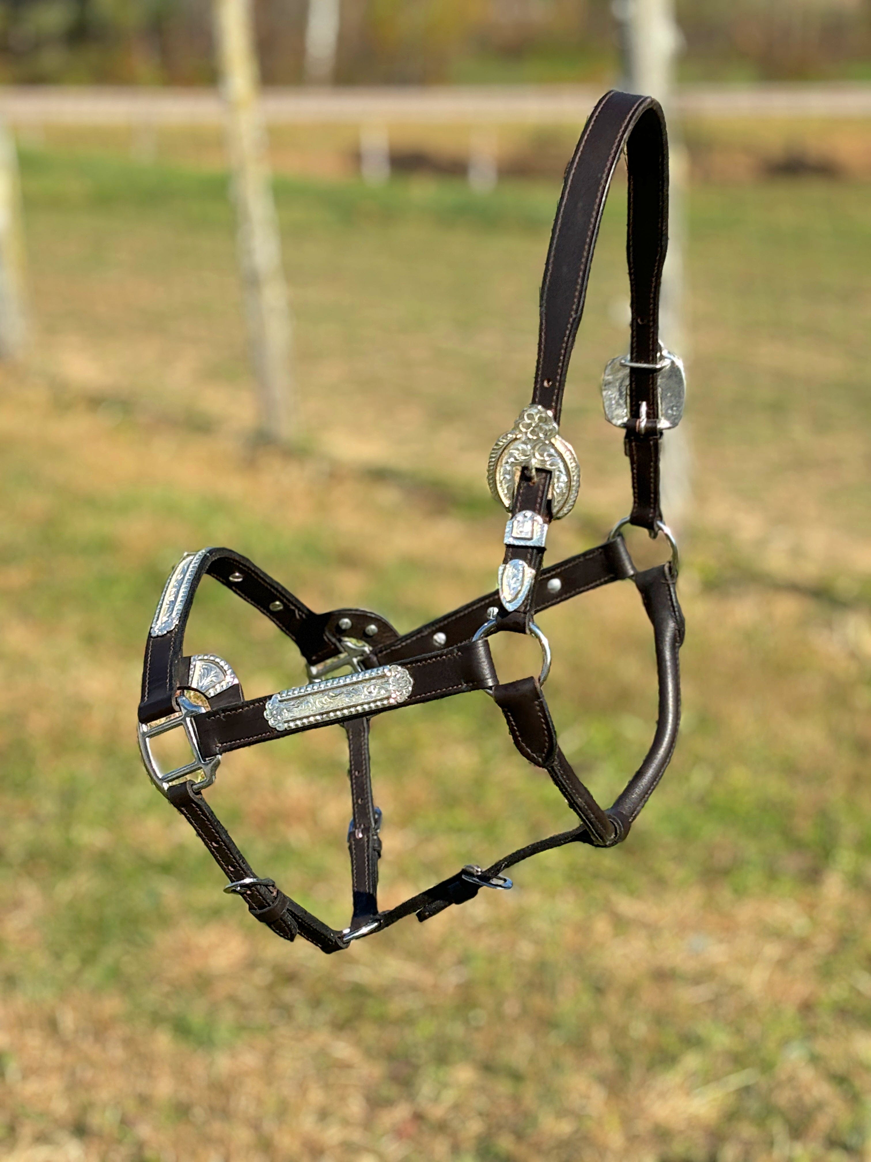 Shiloh Show Halters