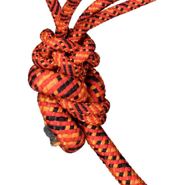 Tri Color Rope Halter With Lead - Henderson's Western Store