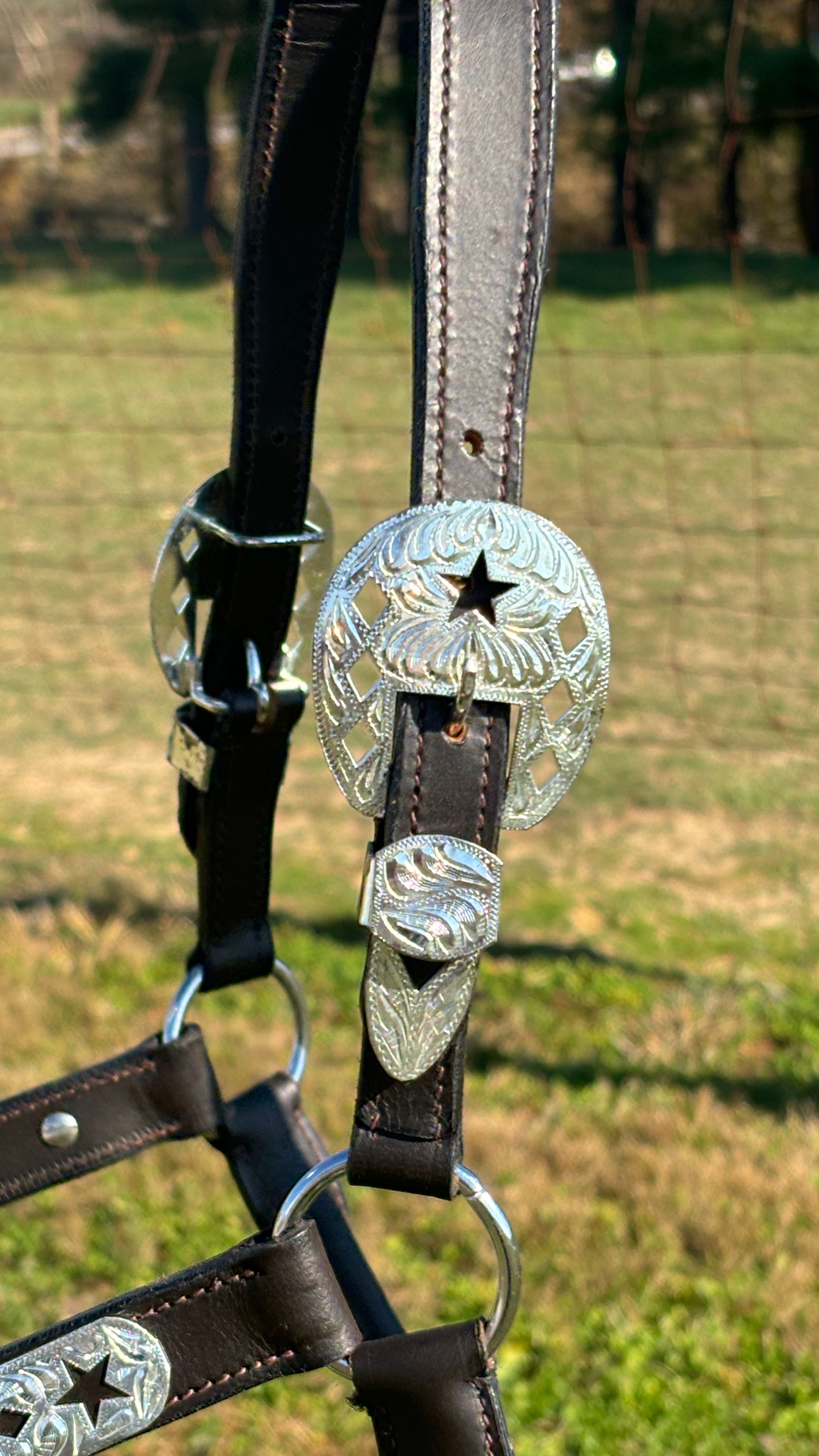 Dark Leather Show Halter ~ Stars & Diamonds - Henderson's Western Store