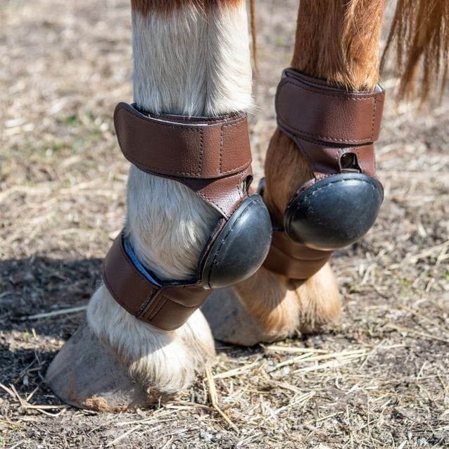 JT International Horse Boots
