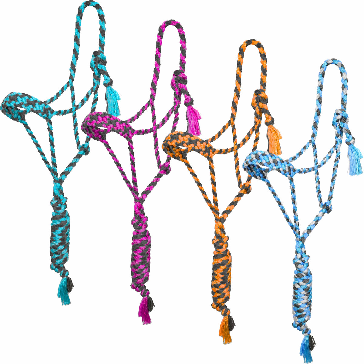Shiloh Halters