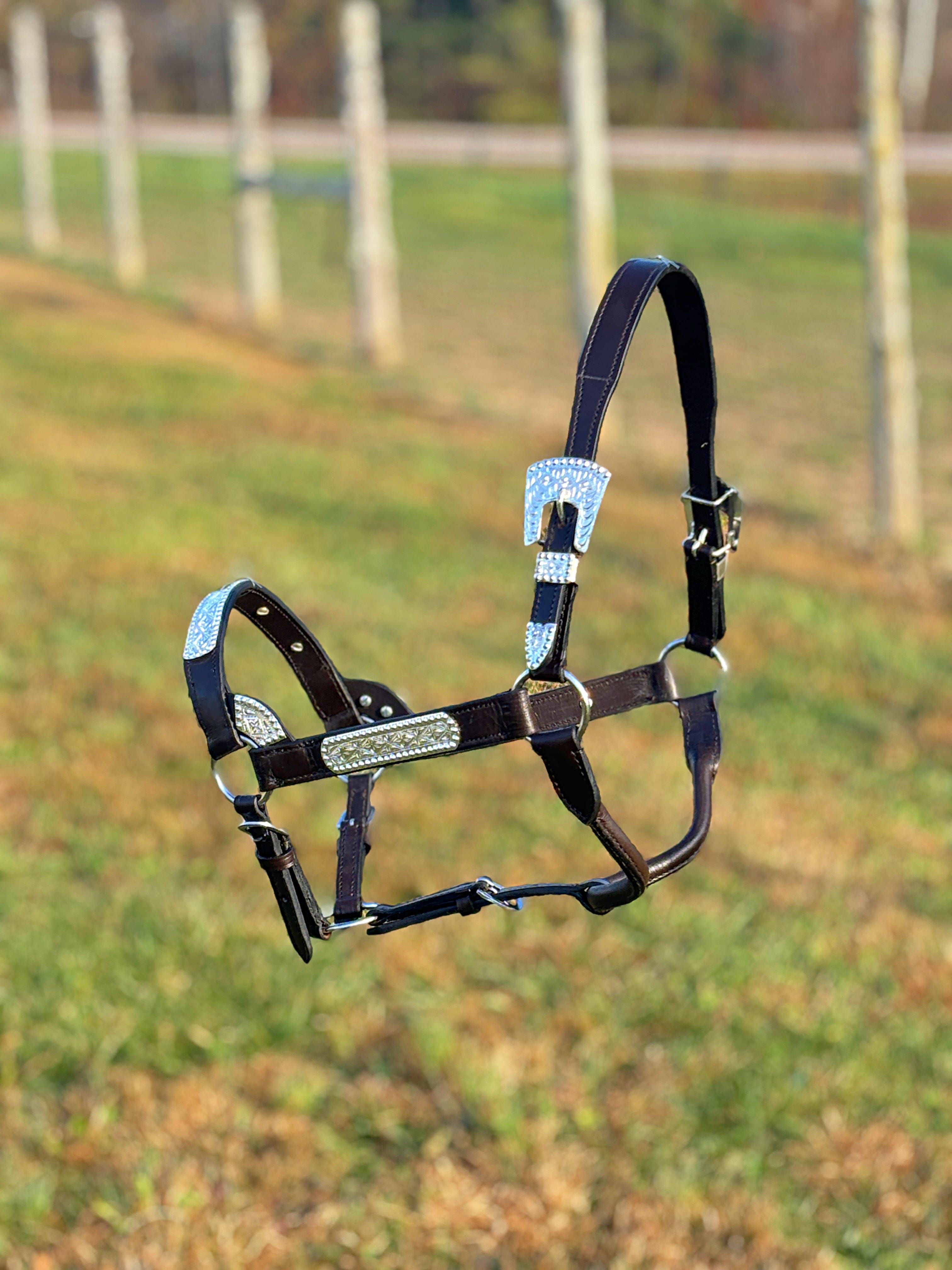 Dark Leather Show Halter ~ Sliver Bar - Henderson's Western Store