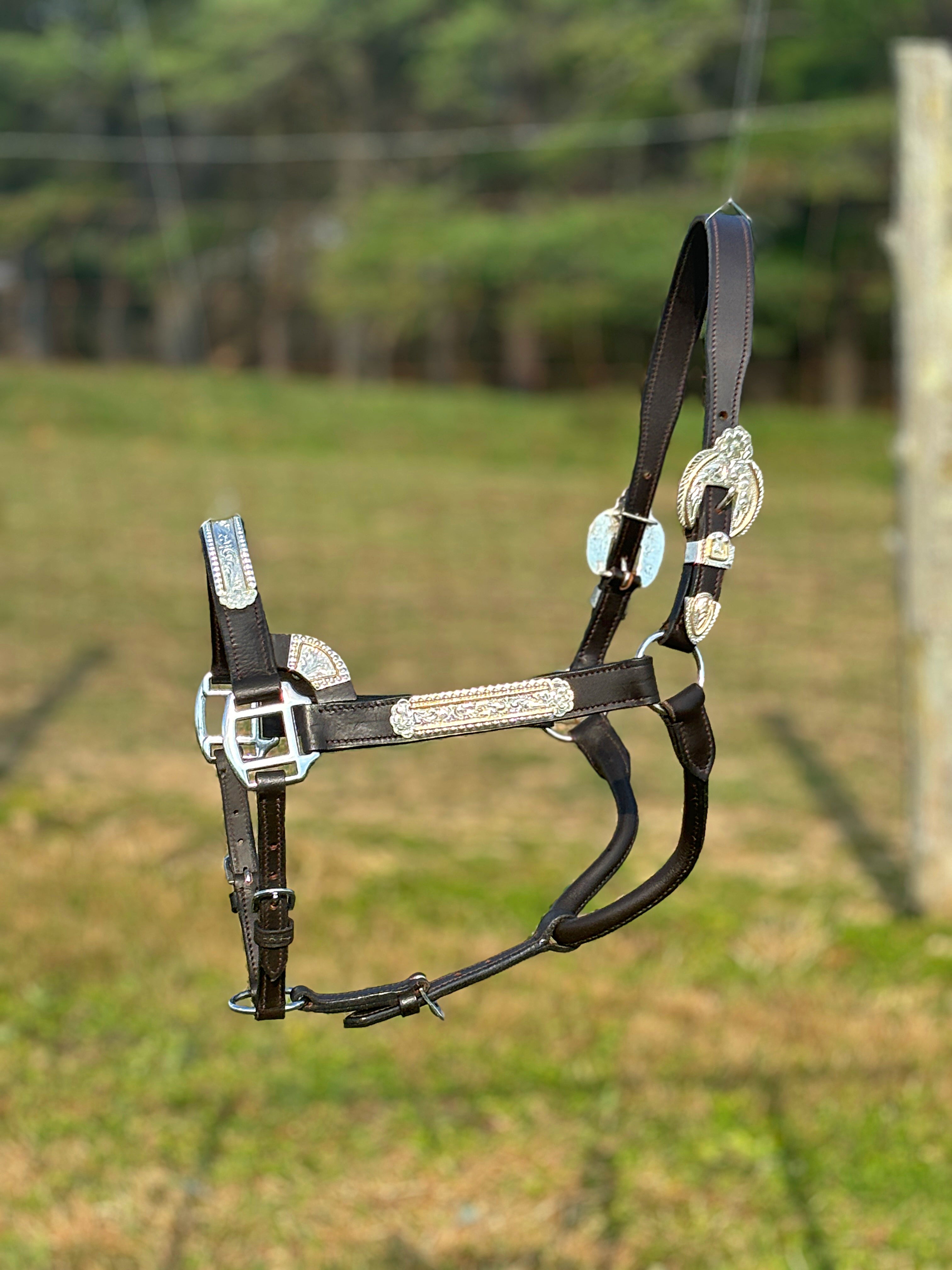Dark Leather Show Halter ~ Floral Engraved - Henderson's Western Store