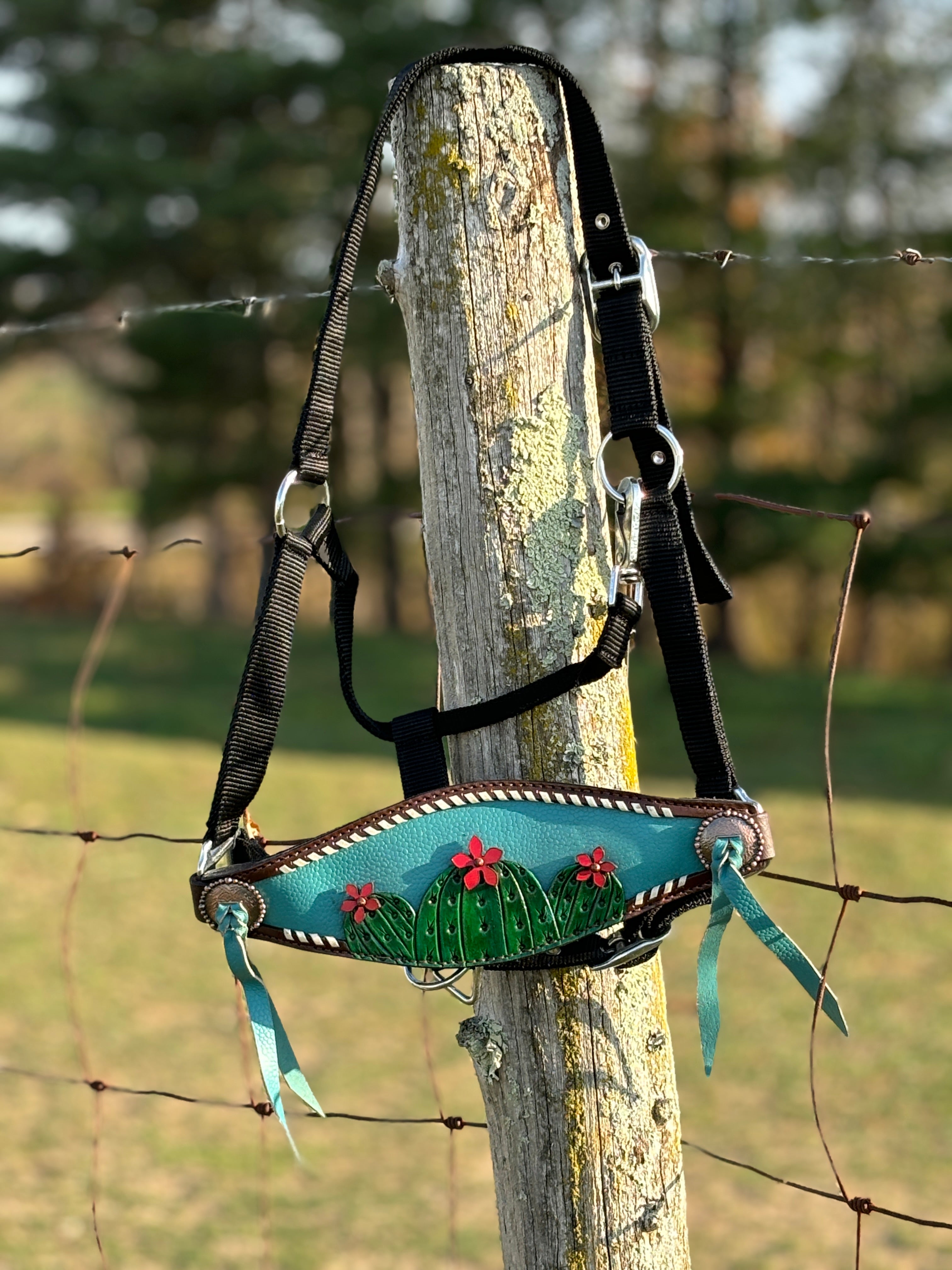 Nylon Bronc Halter ~ Cactus - Henderson's Western Store
