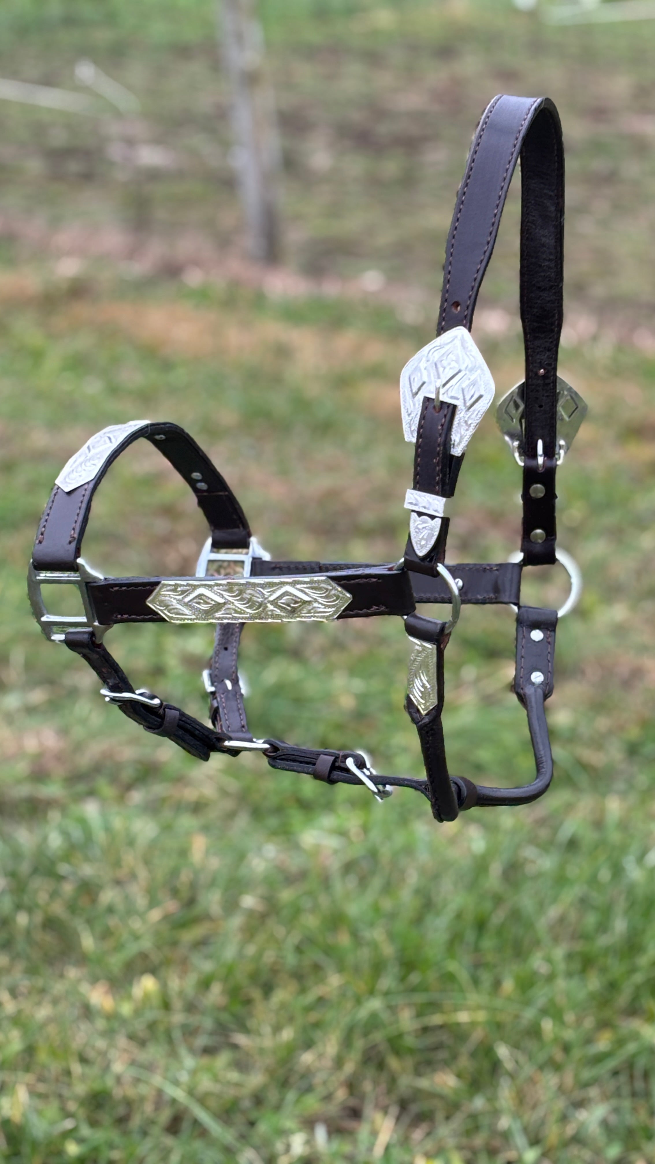 Dark Leather Show Halter ~ Horse - Henderson's Western Store