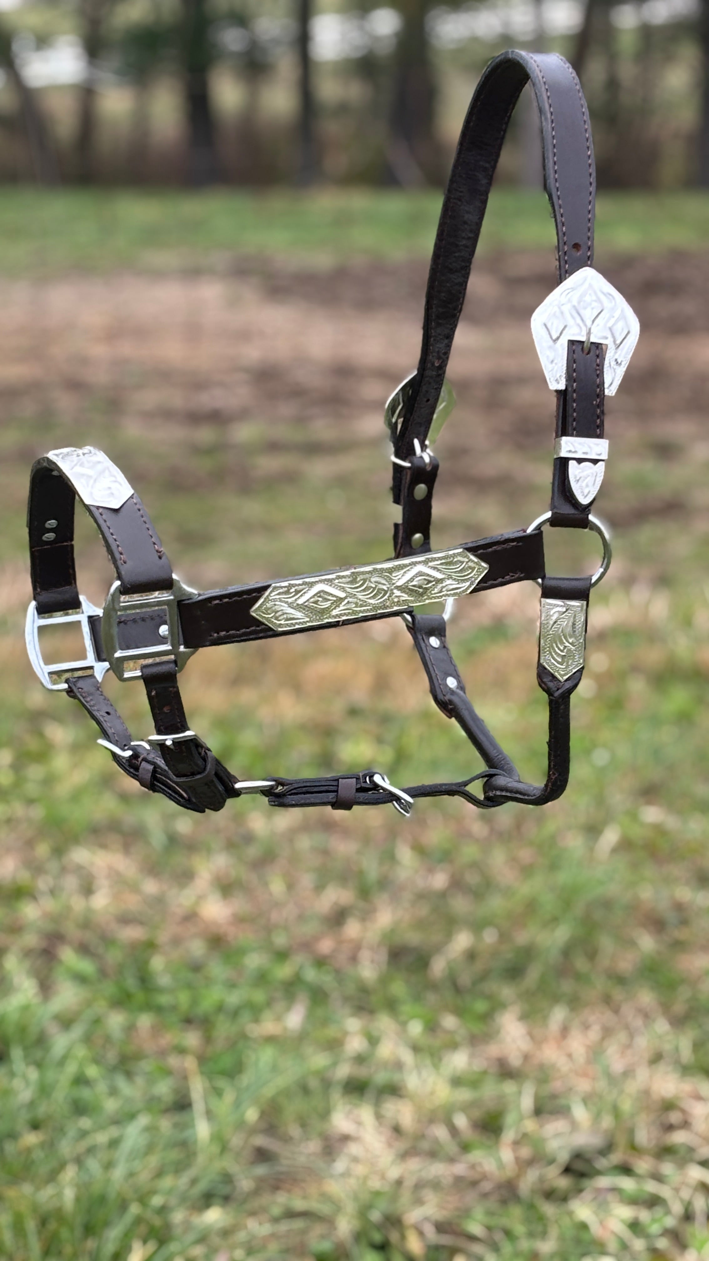 Dark Leather Show Halter ~ Horse - Henderson's Western Store