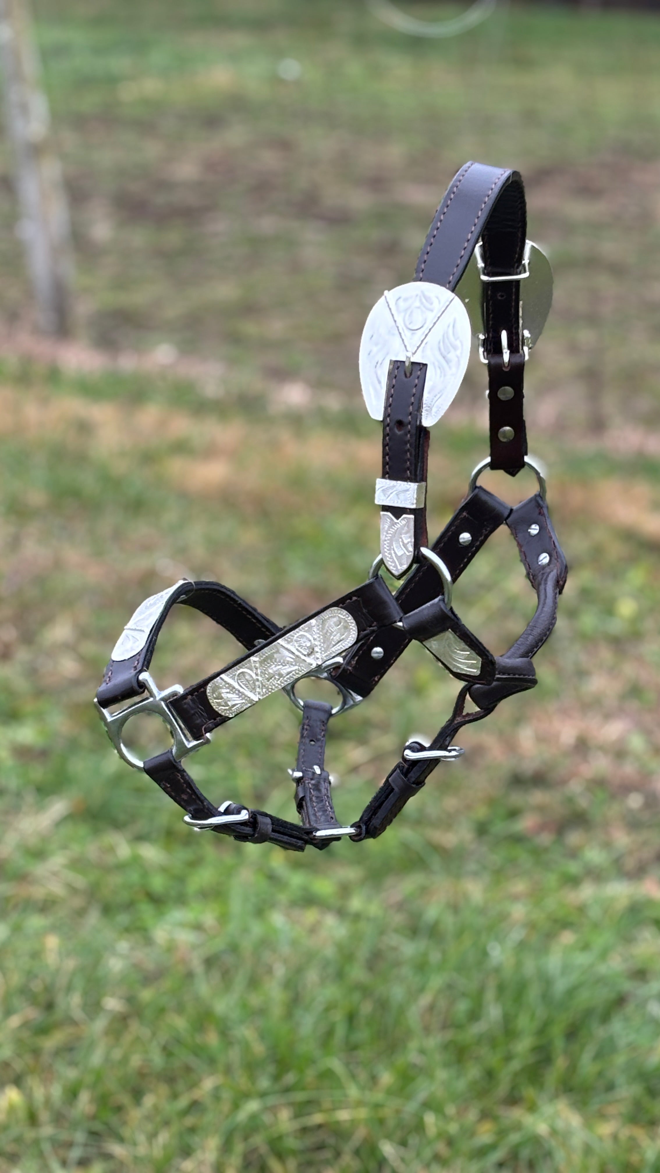 Show Halter ~ Silver V ~ Yearling/Small - Henderson's Western Store