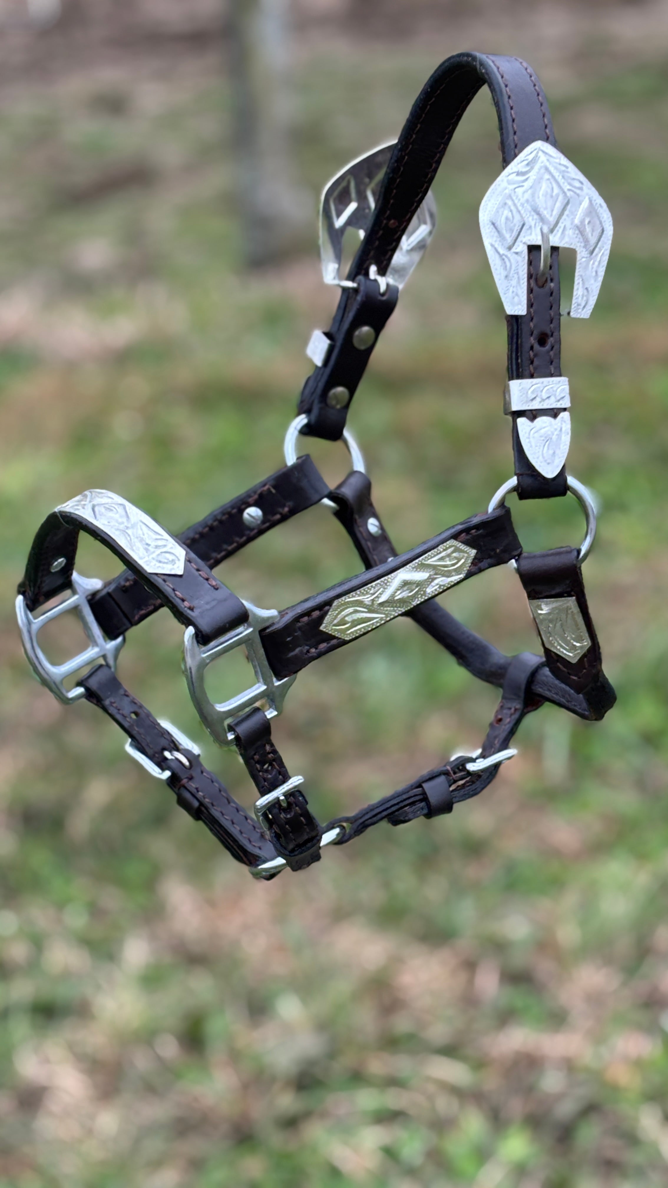 Dark Leather Show Halter ~ Mini - Henderson's Western Store