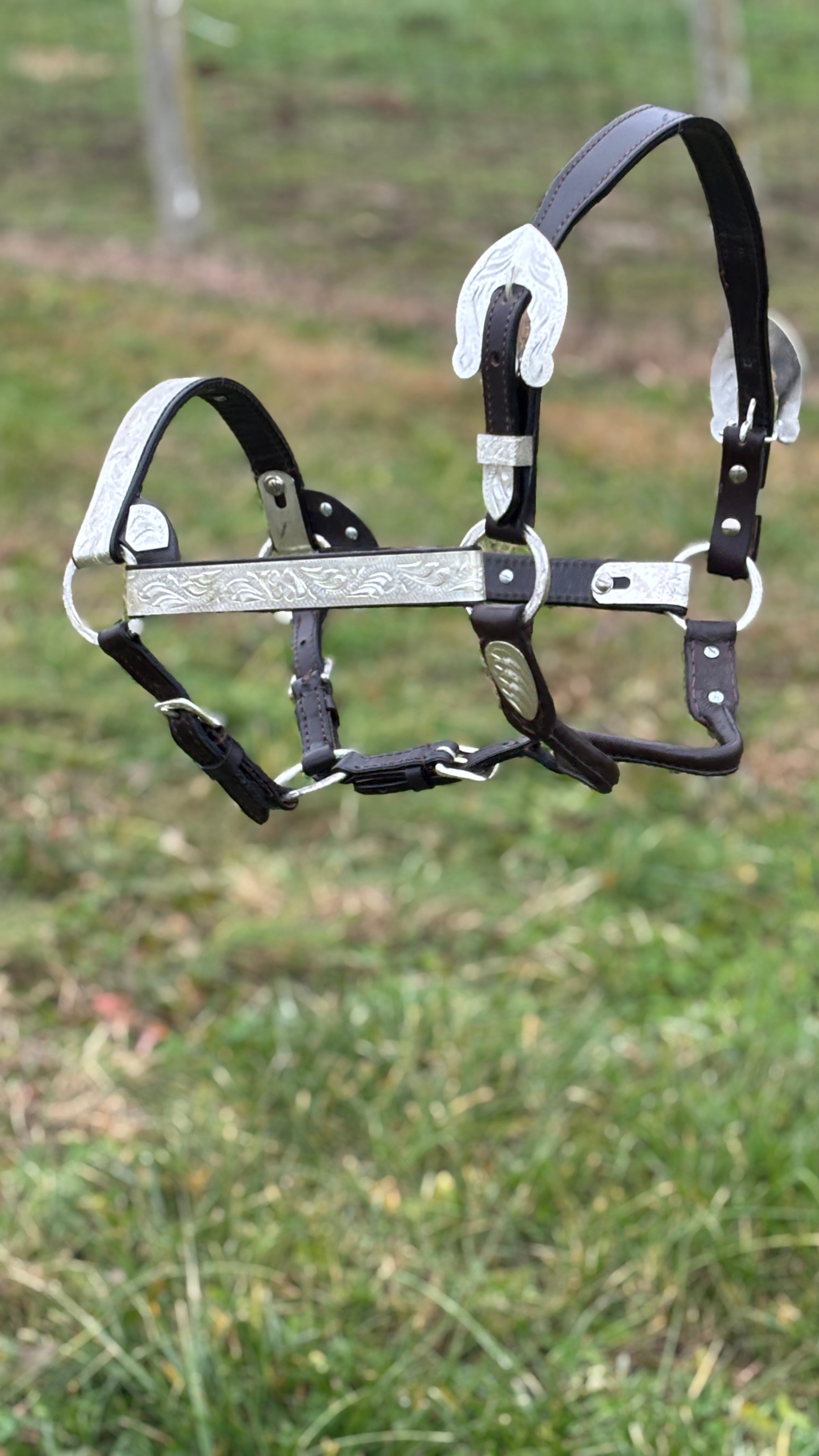 Show Halter ~ Silver Engraved - Henderson's Western Store