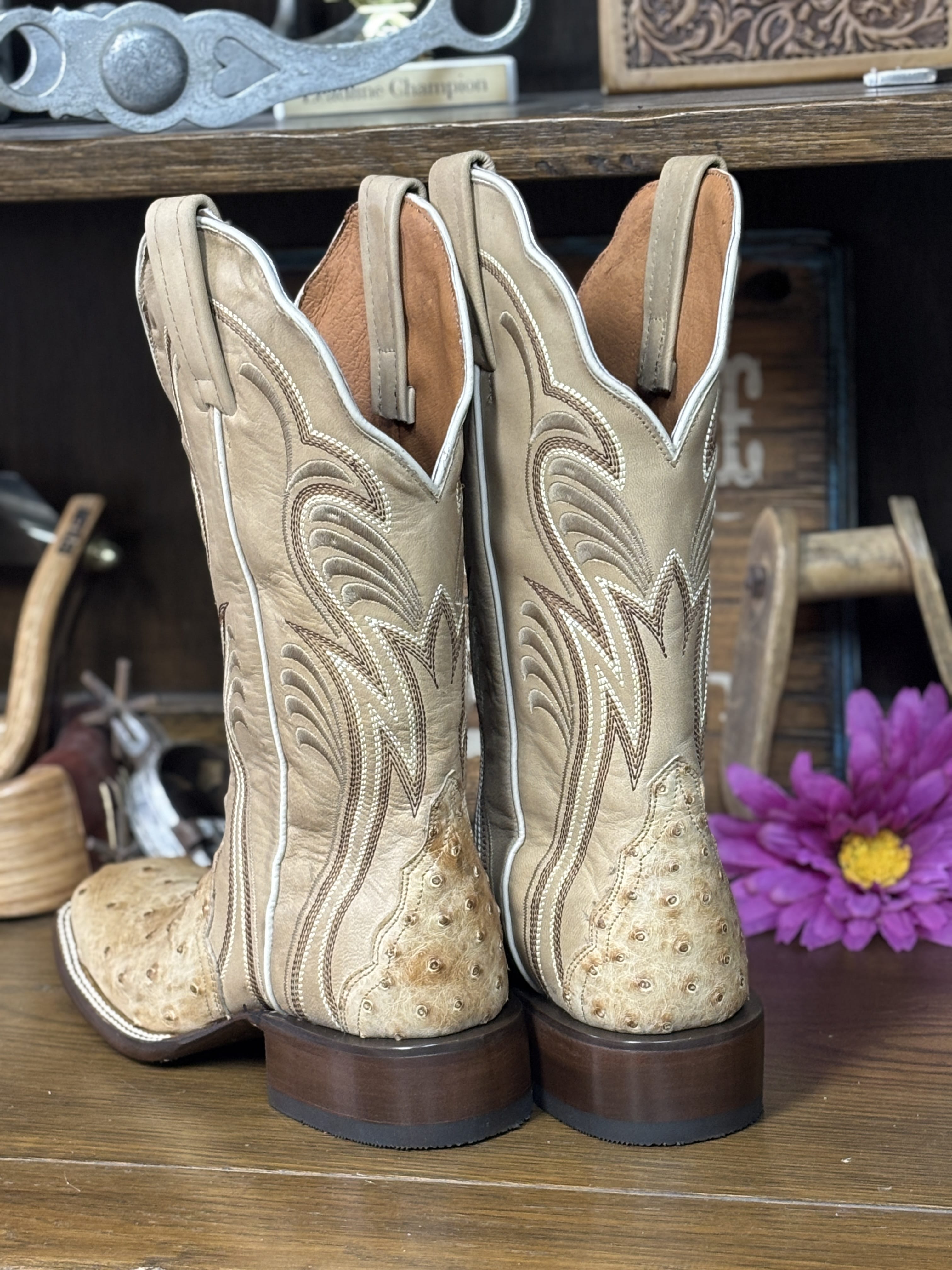 Dan Post Women's Boots