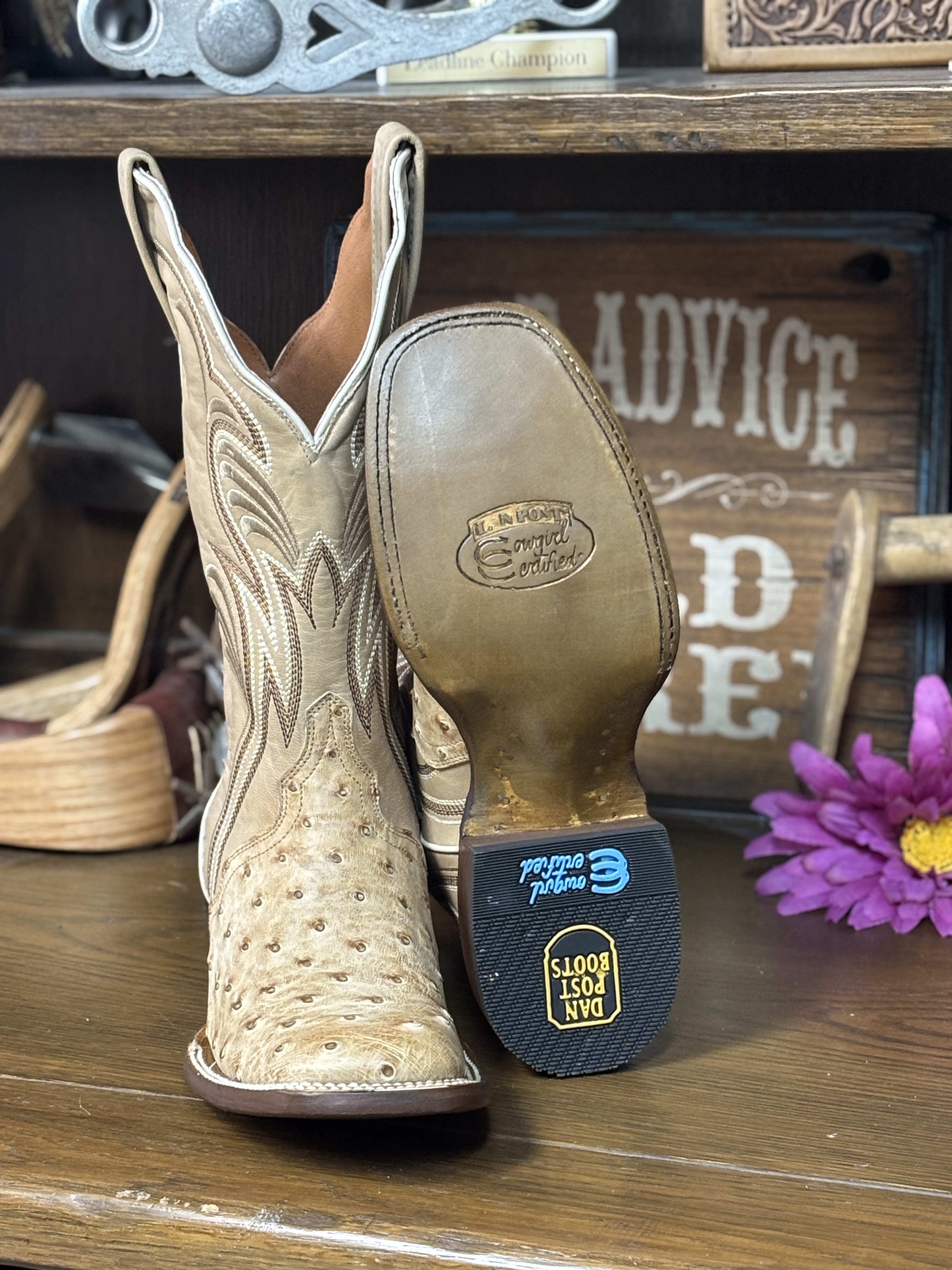 Dan Post Women's Boots