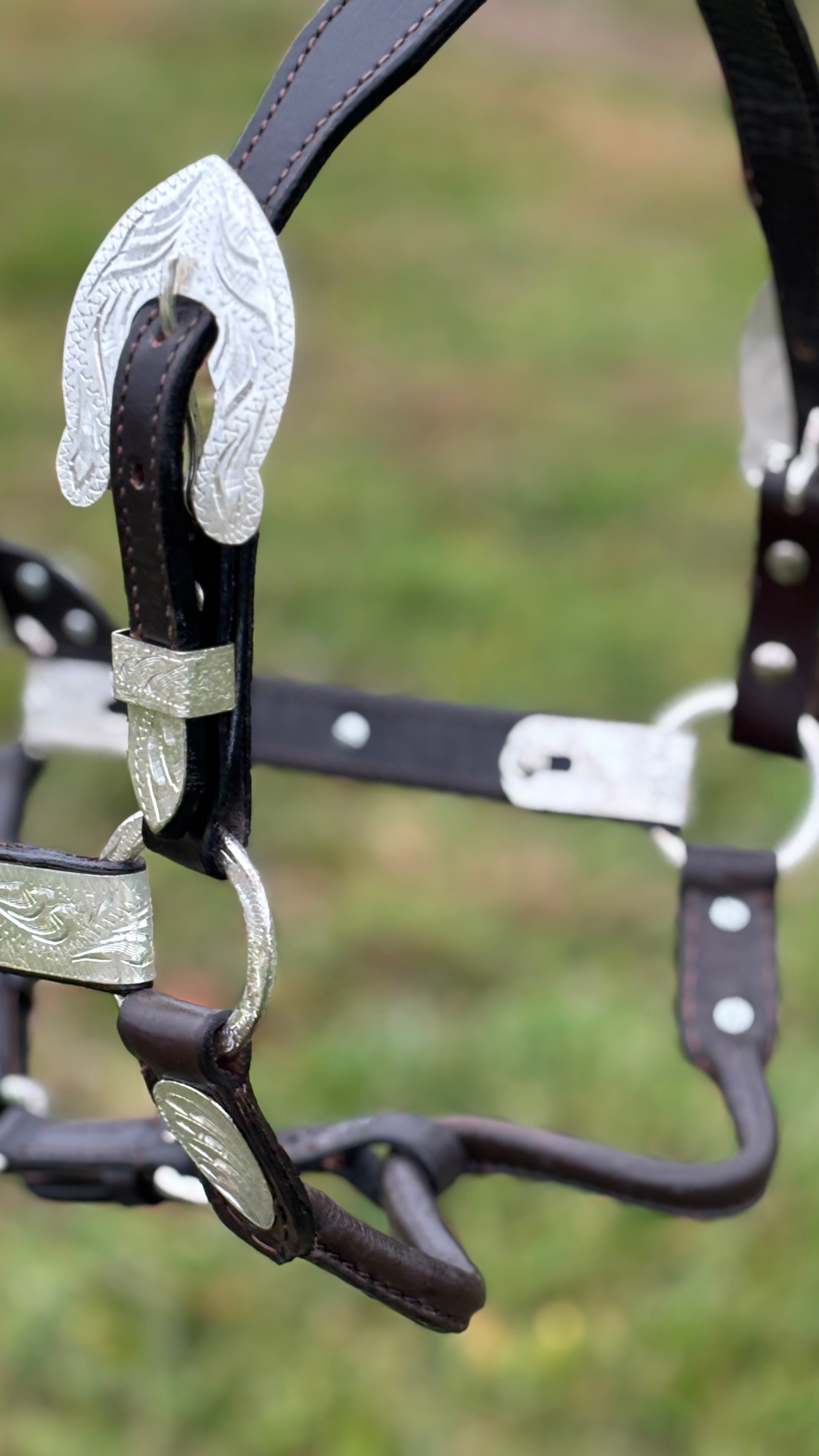Show Halter ~ Silver Engraved - Henderson's Western Store