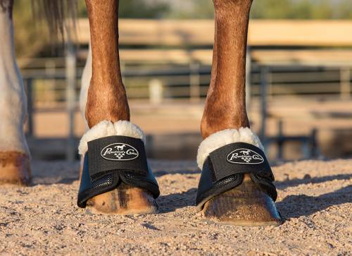 Profesional's Choice Horse Boots
