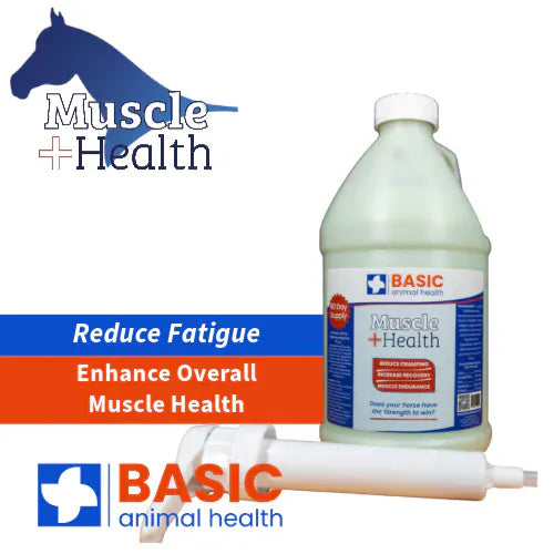 MuscleHealth Gel Supplement for Horses - Henderson's Western Store