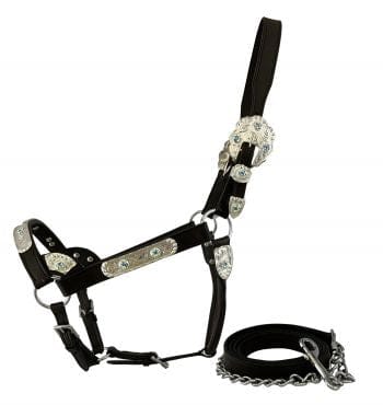 Shiloh Show Halters