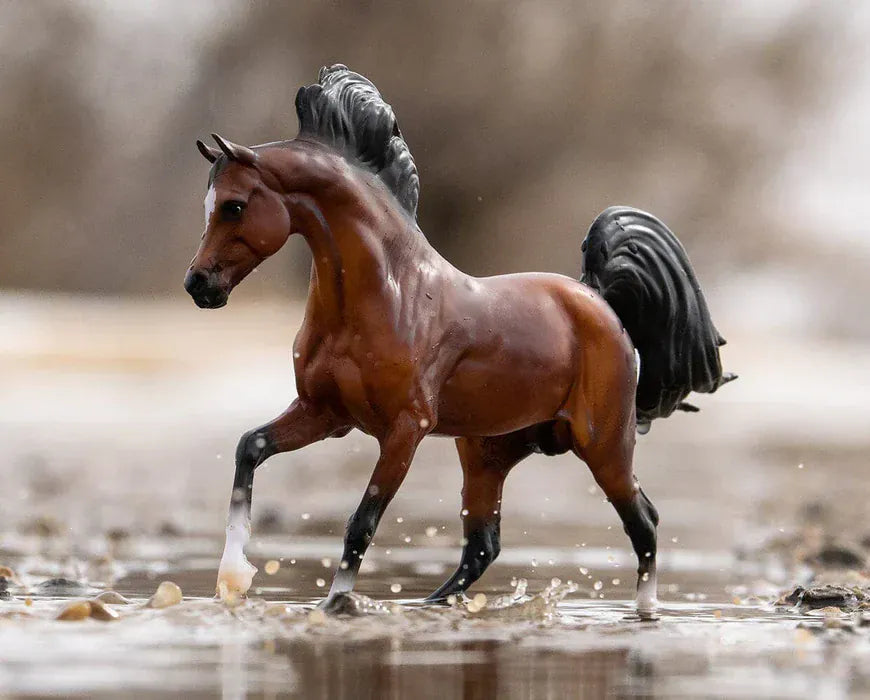 A Horse of My Very Own~Arabian - Henderson's Western Store