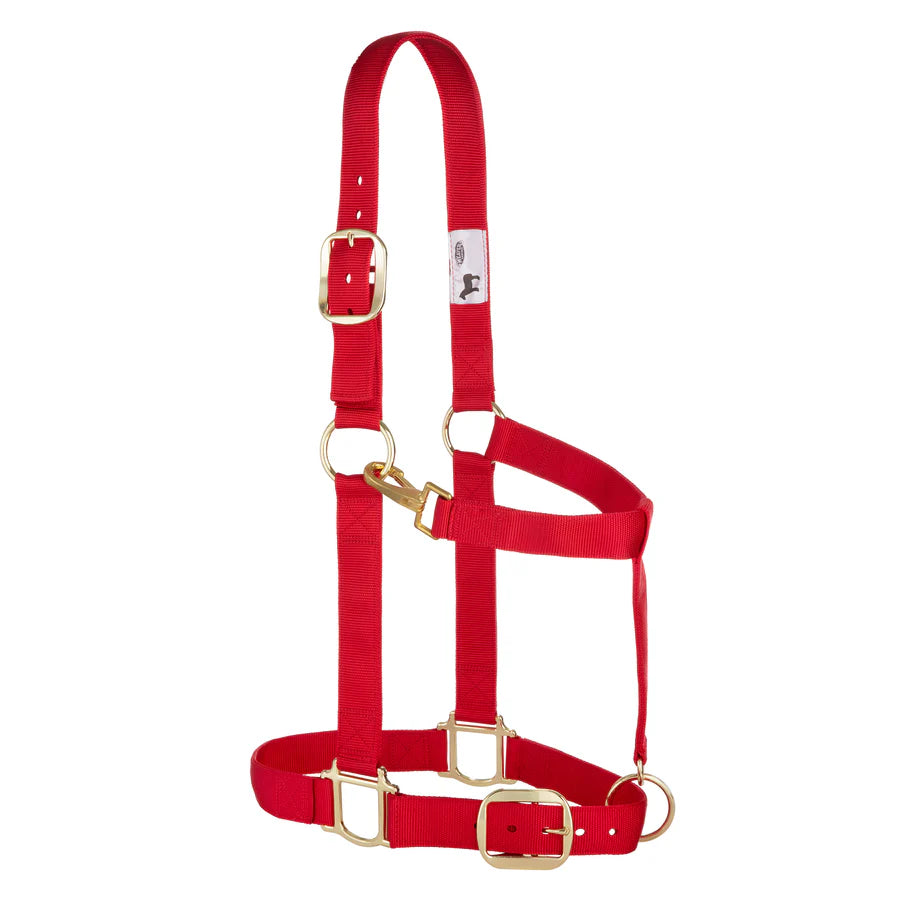 Adjustable Halters ~ Draft - Henderson's Western Store