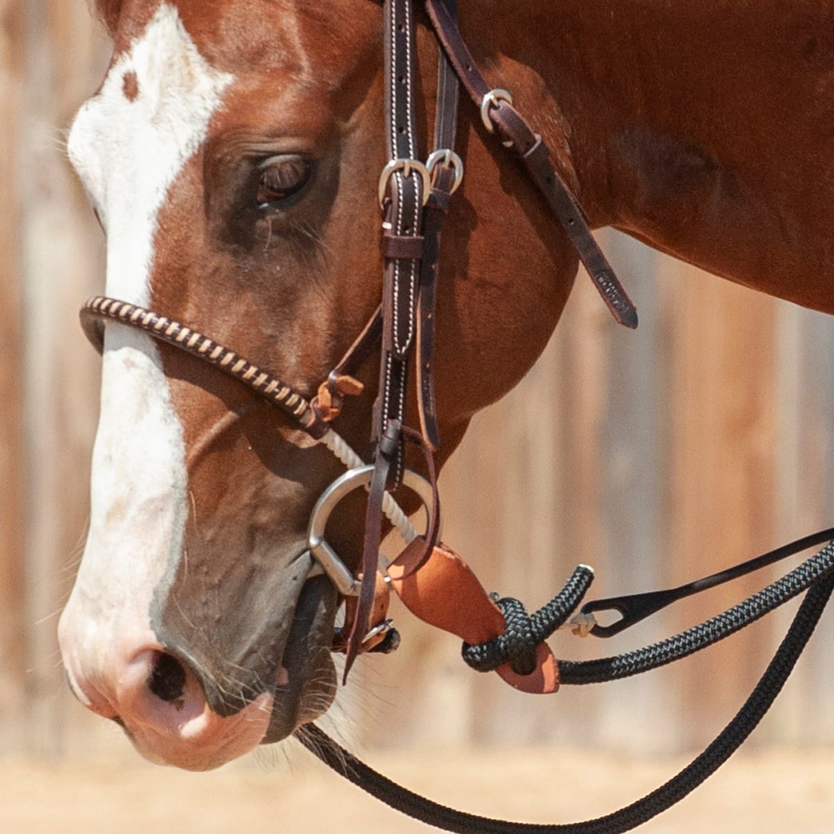 Classic Equine Bits