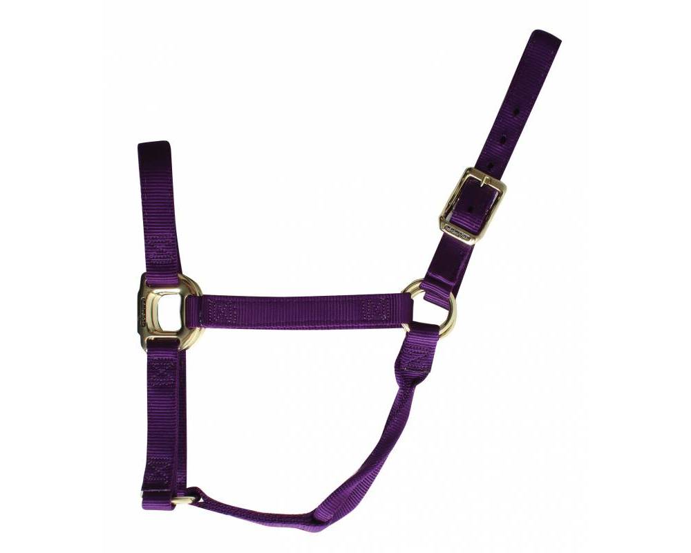 Nylon Halter by Professional's Choice ~ Large - Henderson's Western Store