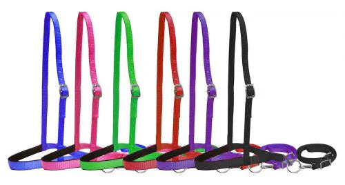 Why Nosebands & Tie Downs Are Used in Barrel Racing